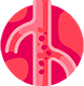 Image 8: TEMPLATE_0001_vascular