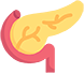 Image 22: TEMPLATE_0006_pancreas