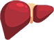 Image 14: TEMPLATE_0009_liver